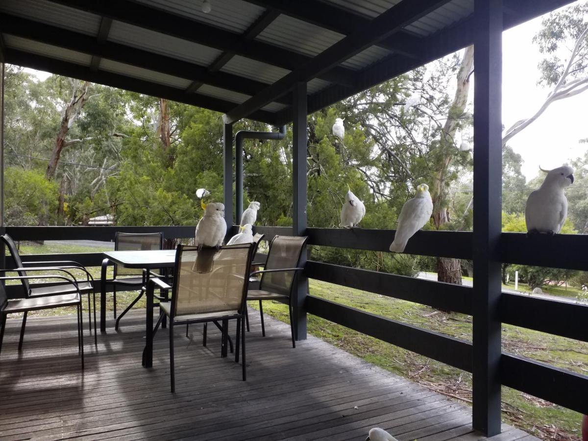 Cockatoo Cabin Halls Gap Εξωτερικό φωτογραφία