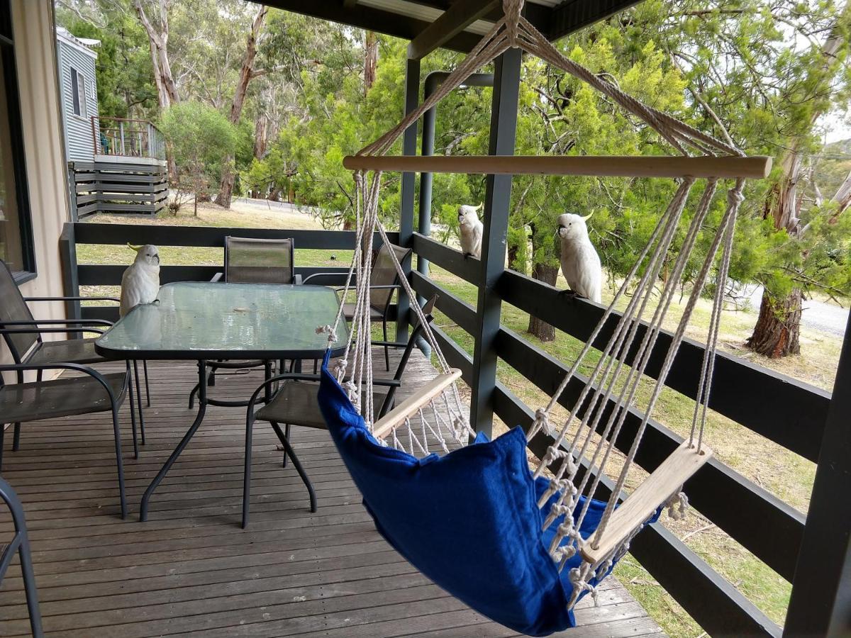 Cockatoo Cabin Halls Gap Εξωτερικό φωτογραφία